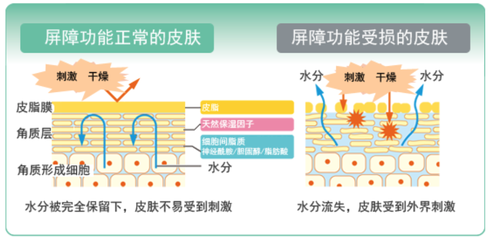 干、癢、紅、腫？別慌涂護(hù)膚品，先看看皮膚屏